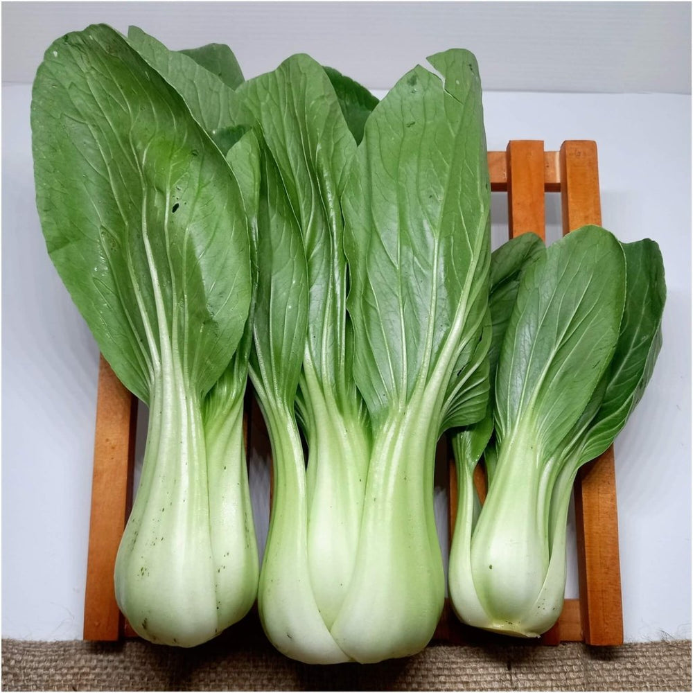 Pak Choi (Miyako F1)