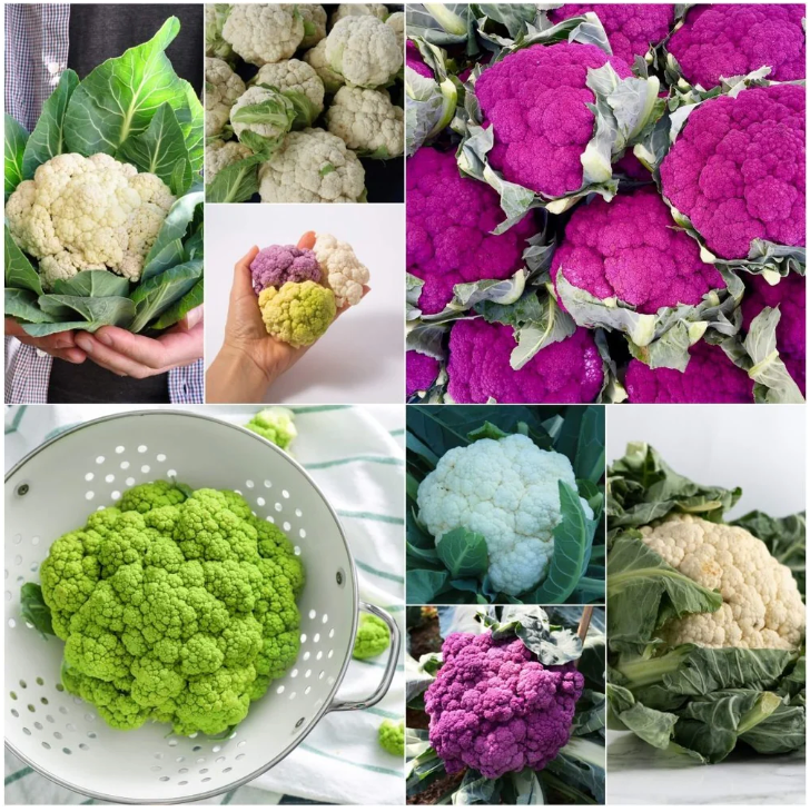 Cauliflower Heirloom Mix