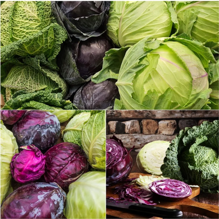Cabbage Heirloom Mix