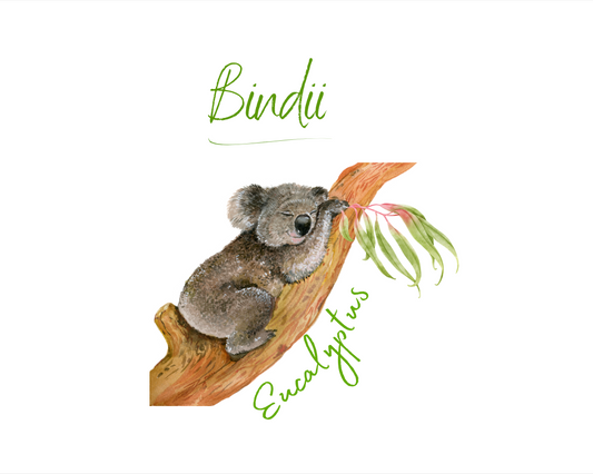 Eucalyptus (Blue Gum) Pure Essential Oil