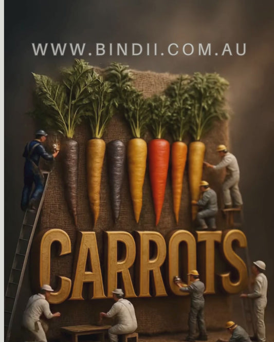 Carrot Heirloom Mix