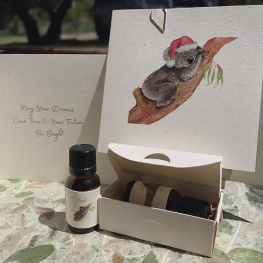 Eucalyptus Christmas Bundle